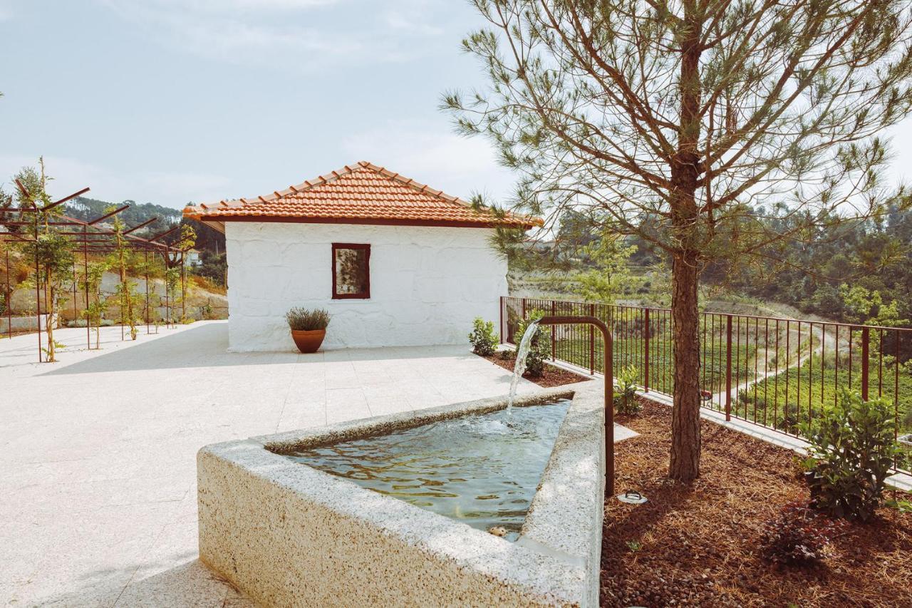 Oliveiras Village — Agroturismo Amarante Exteriér fotografie